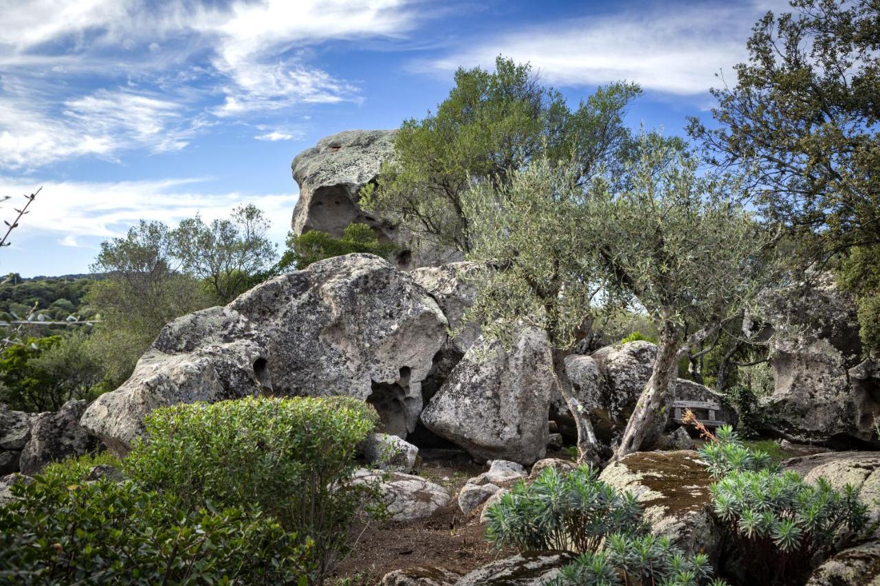 Gallicantu Stazzo Retreat Luogosanto المظهر الخارجي الصورة