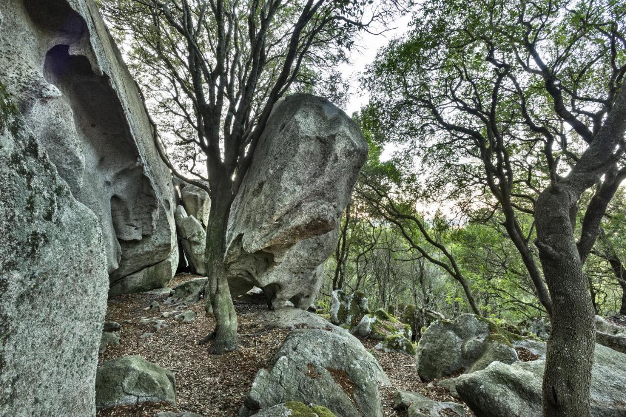 Gallicantu Stazzo Retreat Luogosanto المظهر الخارجي الصورة