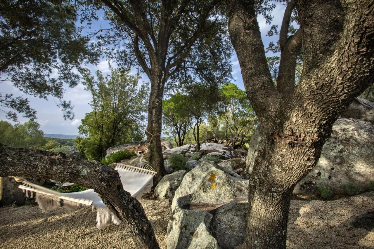 Gallicantu Stazzo Retreat Luogosanto المظهر الخارجي الصورة