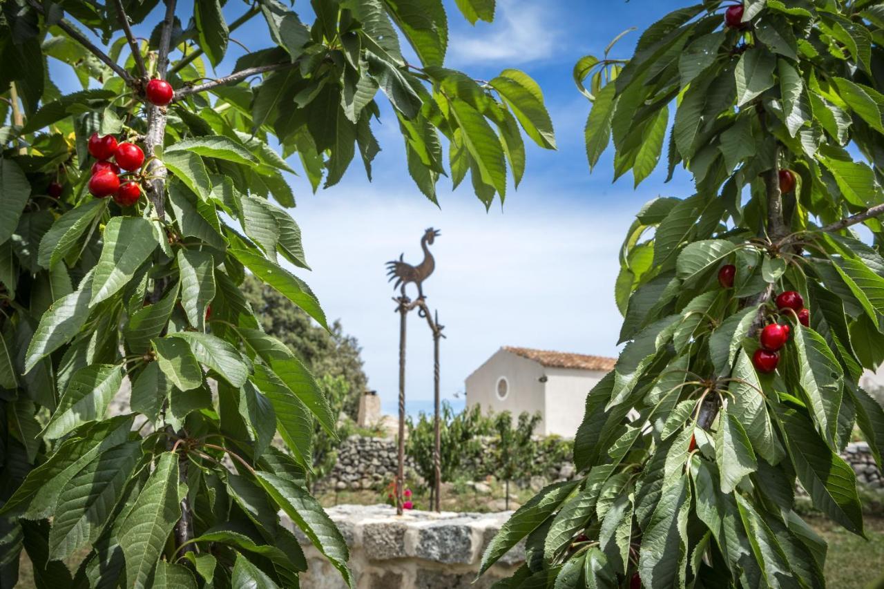 Gallicantu Stazzo Retreat Luogosanto المظهر الخارجي الصورة