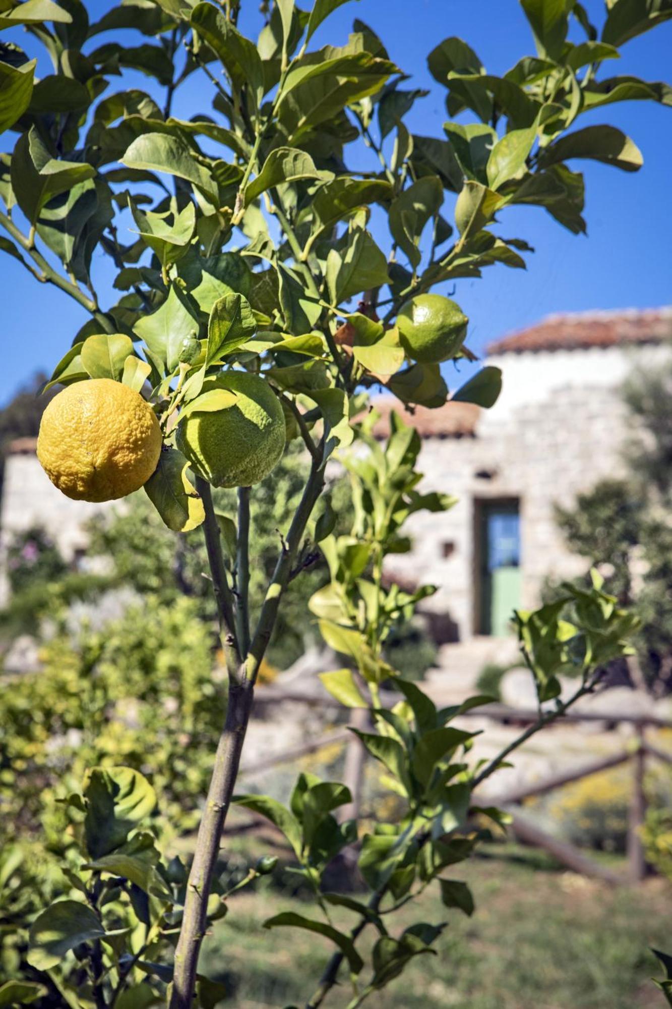 Gallicantu Stazzo Retreat Luogosanto المظهر الخارجي الصورة